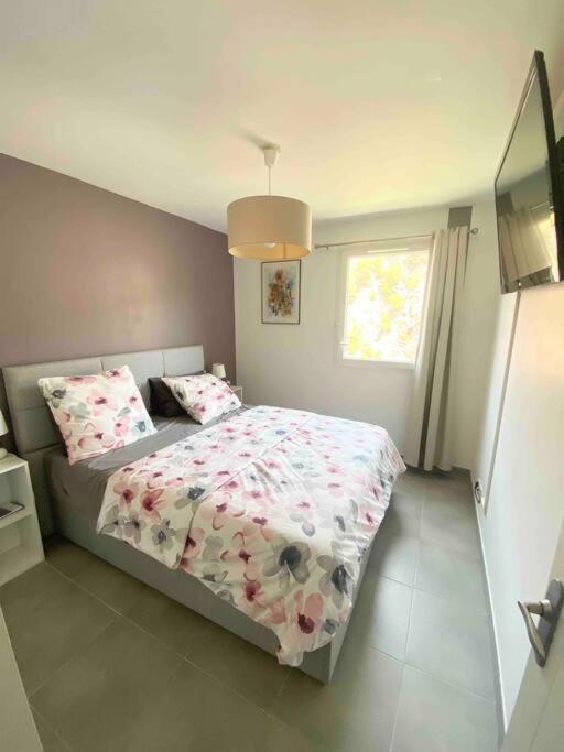 Luxueux T3 Piscine Et Vue Somptueuse Leilighet Sète Eksteriør bilde